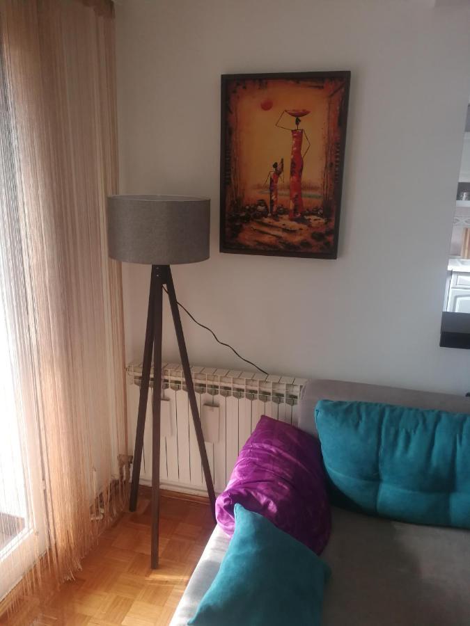 Apartment Nedic دوبوي المظهر الخارجي الصورة